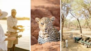 Wildlife Experience Chongwe Time + Tide Lower Zambezi