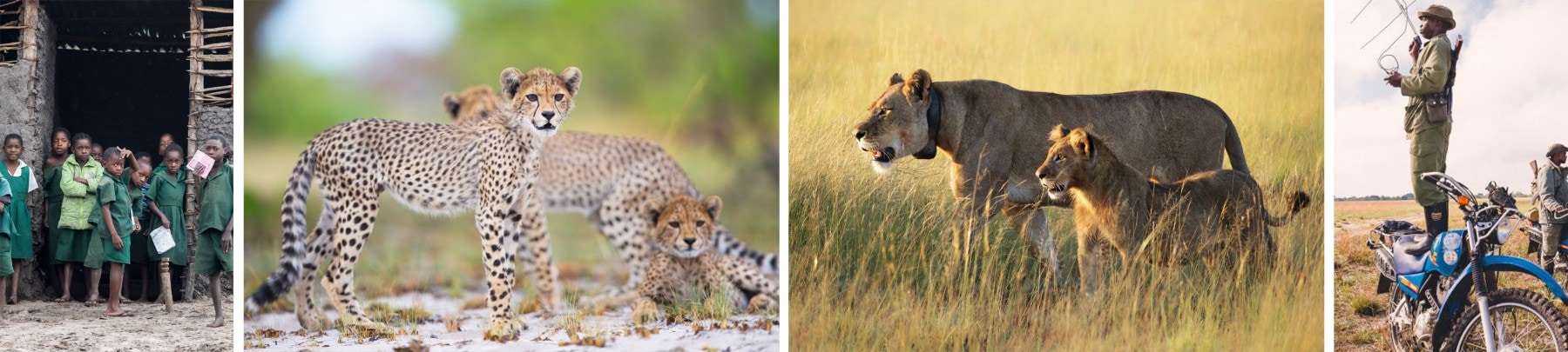 Zambia Community and Wildlife